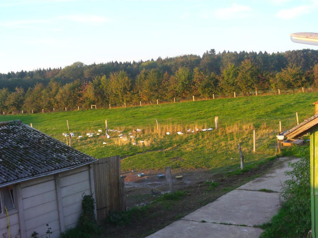 Hof Beuck Apartment Travenhorst ภายนอก รูปภาพ